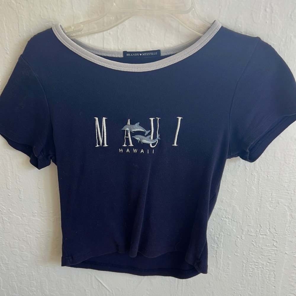 Brandy Melville Maui Crop Top
